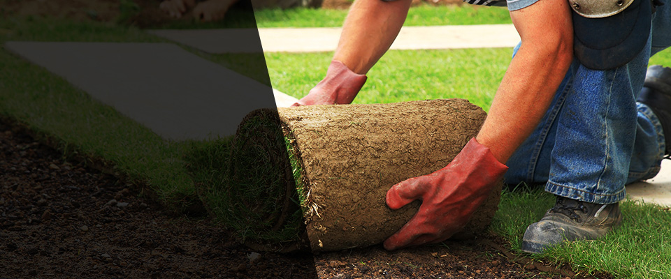 Sulphur Springs Landscapers